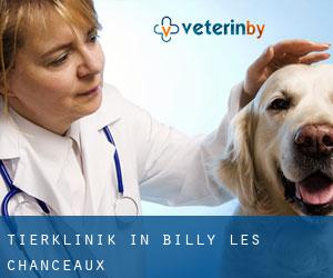 Tierklinik in Billy-lès-Chanceaux