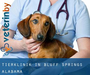 Tierklinik in Bluff Springs (Alabama)