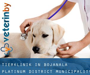Tierklinik in Bojanala Platinum District Municipality