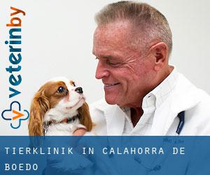 Tierklinik in Calahorra de Boedo