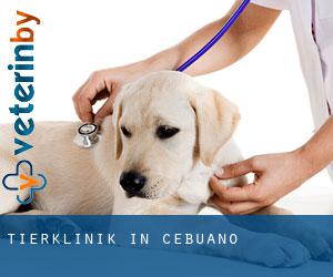 Tierklinik in Cebuano