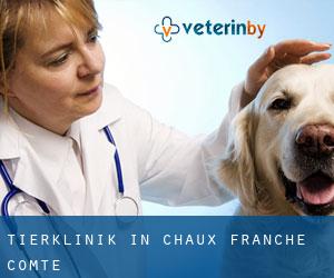 Tierklinik in Chaux (Franche-Comté)