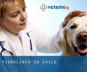 Tierklinik in Chile