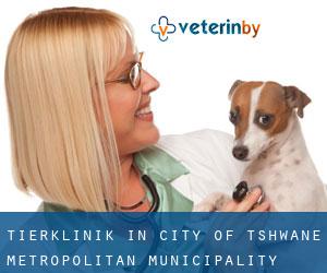 Tierklinik in City of Tshwane Metropolitan Municipality