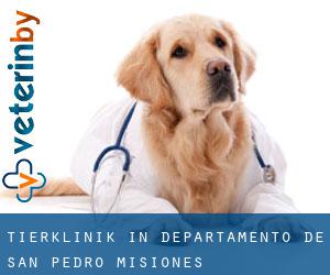 Tierklinik in Departamento de San Pedro (Misiones)