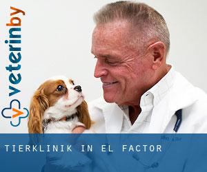 Tierklinik in El Factor
