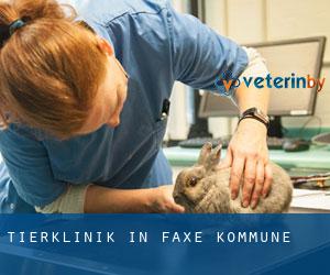 Tierklinik in Faxe Kommune