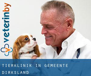 Tierklinik in Gemeente Dirksland