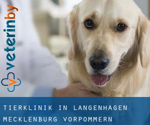 Tierklinik in Langenhagen (Mecklenburg-Vorpommern)