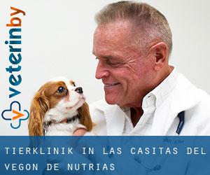 Tierklinik in Las Casitas del Vegon de Nutrias