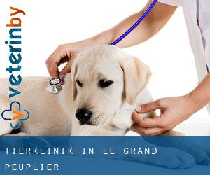 Tierklinik in Le Grand Peuplier