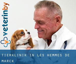 Tierklinik in Les Hemmes de Marck
