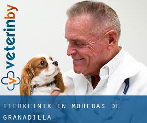Tierklinik in Mohedas de Granadilla