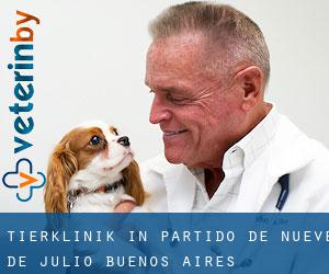 Tierklinik in Partido de Nueve de Julio (Buenos Aires)