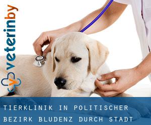 Tierklinik in Politischer Bezirk Bludenz durch stadt - Seite 1