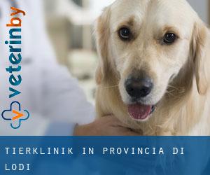 Tierklinik in Provincia di Lodi