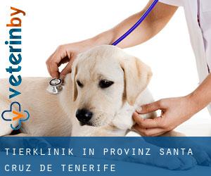 Tierklinik in Provinz Santa Cruz de Tenerife