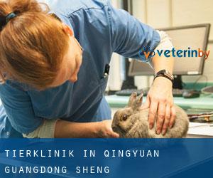 Tierklinik in Qingyuan (Guangdong Sheng)