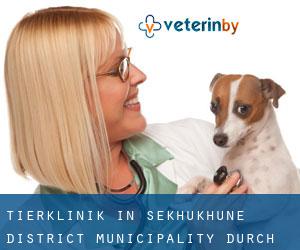 Tierklinik in Sekhukhune District Municipality durch stadt - Seite 1