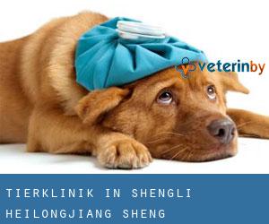 Tierklinik in Shengli (Heilongjiang Sheng)