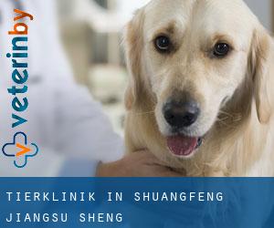 Tierklinik in Shuangfeng (Jiangsu Sheng)