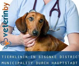 Tierklinik in Sisonke District Municipality durch hauptstadt - Seite 1