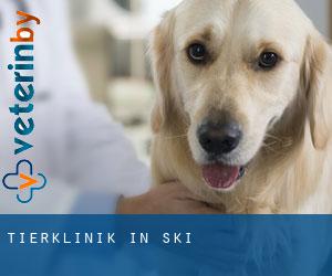 Tierklinik in Şǝki Tierklinik in Şǝki