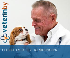 Tierklinik in Sonderburg