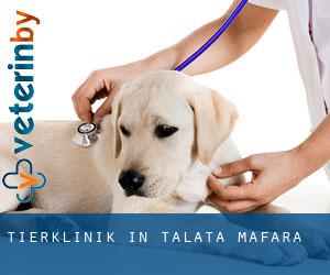 Tierklinik in Talata Mafara