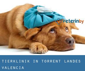Tierklinik in Torrent (Landes Valencia)