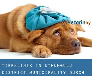 Tierklinik in uThungulu District Municipality durch hauptstadt - Seite 2