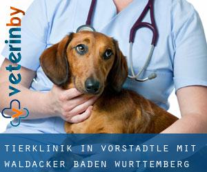 Tierklinik in Vorstädtle mit Waldacker (Baden-Württemberg)