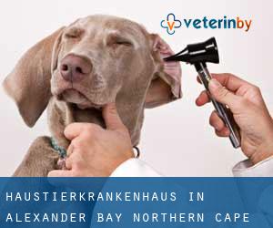 Haustierkrankenhaus in Alexander Bay (Northern Cape)
