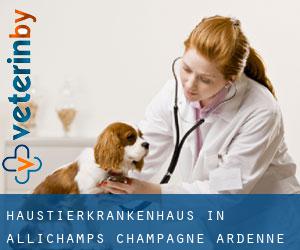 Haustierkrankenhaus in Allichamps (Champagne-Ardenne)