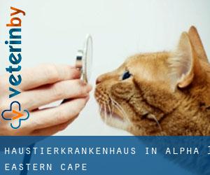 Haustierkrankenhaus in Alpha (1) (Eastern Cape)