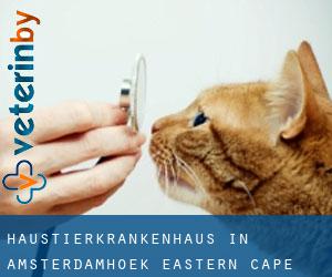 Haustierkrankenhaus in Amsterdamhoek (Eastern Cape)
