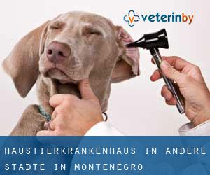 Haustierkrankenhaus in Andere Städte in Montenegro