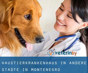 Haustierkrankenhaus in Andere Städte in Montenegro