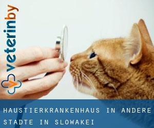 Haustierkrankenhaus in Andere Städte in Slowakei