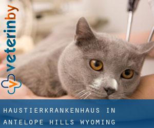 Haustierkrankenhaus in Antelope Hills (Wyoming)