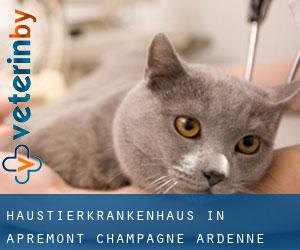 Haustierkrankenhaus in Apremont (Champagne-Ardenne)