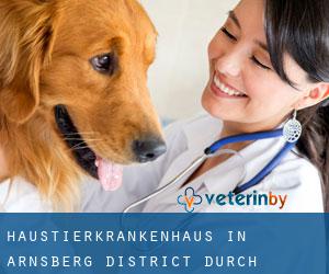 Haustierkrankenhaus in Arnsberg District durch gemeinde - Seite 2