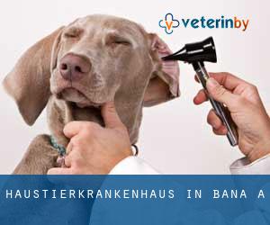 Haustierkrankenhaus in Baña (A) Haustierkrankenhaus in Baña (A)