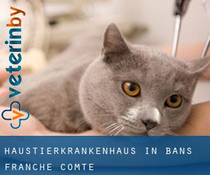 Haustierkrankenhaus in Bans (Franche-Comté)