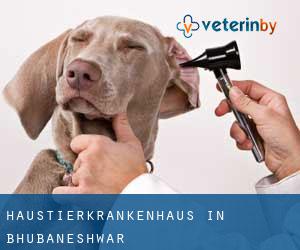 Haustierkrankenhaus in Bhubaneshwar Haustierkrankenhaus in Bhubaneshwar