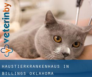 Haustierkrankenhaus in Billings (Oklahoma)