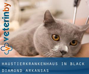 Haustierkrankenhaus in Black Diamond (Arkansas)