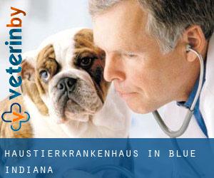 Haustierkrankenhaus in Blue (Indiana)