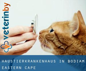 Haustierkrankenhaus in Bodiam (Eastern Cape)