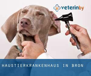 Haustierkrankenhaus in Bron Haustierkrankenhaus in Bron